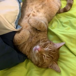 Meet your Posher, Taylor